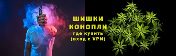mdpv Белокуриха