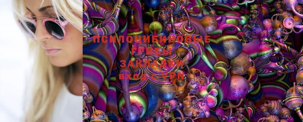 прущие крисы Богородск